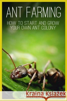 Ant Farming: How to Start and Grow Your Own Ant Colony Jason Brown 9781718773998 Createspace Independent Publishing Platform - książka