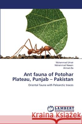 Ant fauna of Potohar Plateau, Punjab - Pakistan Muhammad Umair, Muhammad Naeem, Ahmed Zia 9783659150913 LAP Lambert Academic Publishing - książka