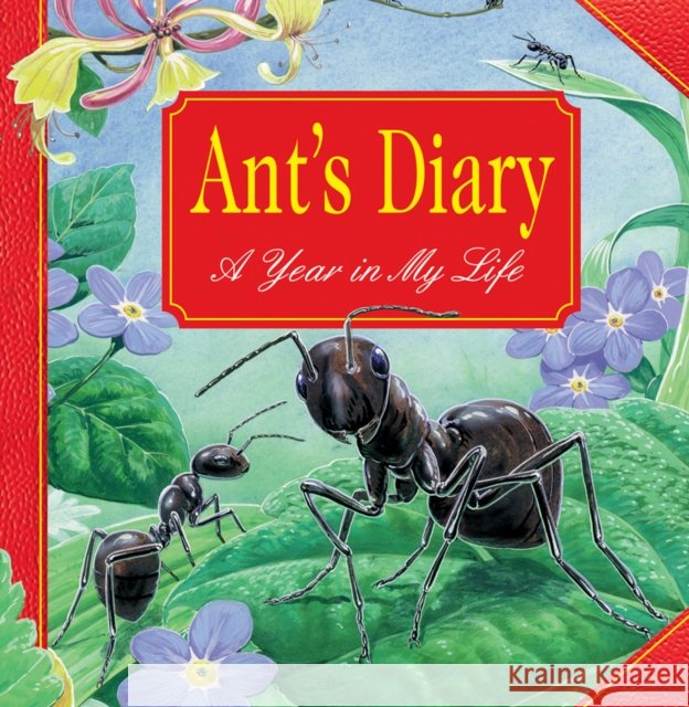 Ant's Diary Parker Steve 9781861476579 Armadillo Music - książka