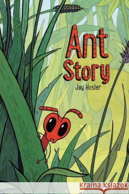 Ant Story: A Graphic Novel Jay Hosler 9780063293991 HarperCollins Publishers Inc - książka