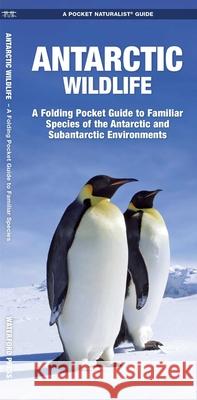 Antarctic Wildlife: A Folding Pocket Guide to Familiar Species of the Antarctic and Subantarctic Environments James Kavanagh Raymond Leung 9781583557884 Waterford Press - książka