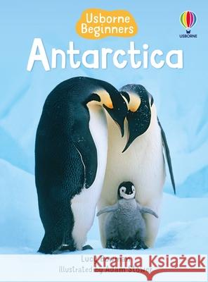 Antarctica Lucy Bowman Adam Stower 9781835404874 Usborne Books - książka