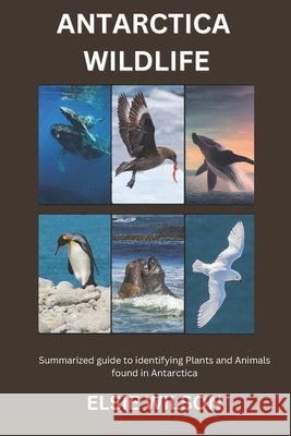 Antarctica Wildlife: Guide to Identifying Wildlife found in Antarctica Elsie Wilson 9798321976715 Independently Published - książka