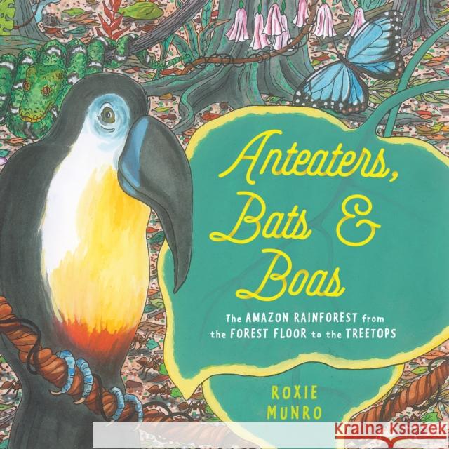 Anteaters, Bats & Boas: The Amazon Rainforest from the Forest Floor to the Treetops Roxie Munro 9780823454266 Holiday House Inc - książka