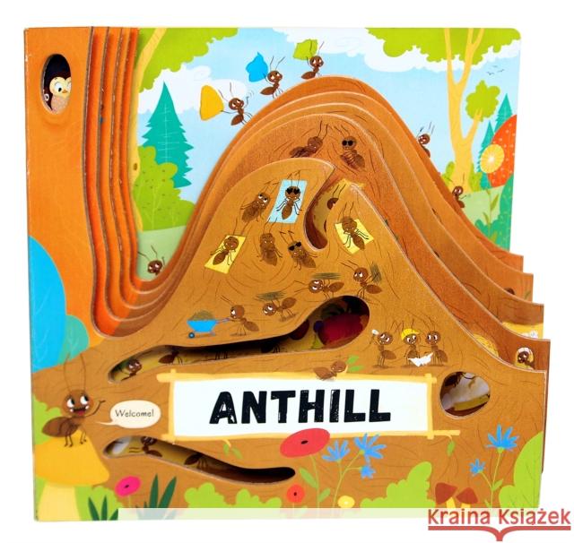 Anthill Petra Bartikova 9781641240857 Fox Chapel Publishing - książka