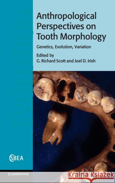 Anthropological Perspectives on Tooth Morphology: Genetics, Evolution, Variation Scott, G. Richard 9781107011458  - książka