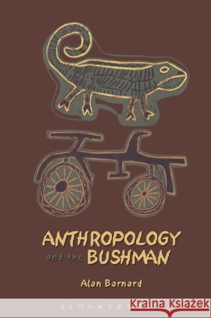 Anthropology and the Bushman Alan Barnard 9781845204297  - książka