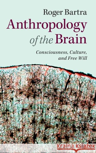 Anthropology of the Brain: Consciousness, Culture, and Free Will Bartra, Roger 9781107060364 Cambridge University Press - książka