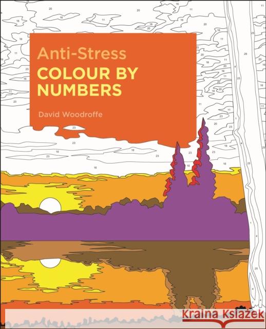 Anti-Stress Colour by Numbers David Woodroffe 9781789502305 Arcturus - książka