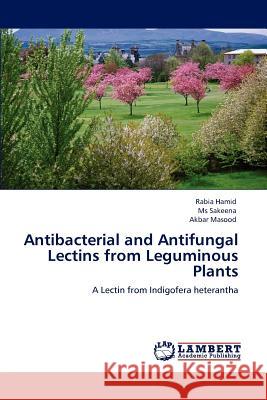 Antibacterial and Antifungal Lectins from Leguminous Plants Rabia Hamid, MS Sakeena, Akbar Masood 9783846581568 LAP Lambert Academic Publishing - książka