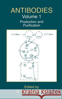 Antibodies: Volume 1: Production and Purification Subramanian, G. 9780306482458 Kluwer Academic/Plenum Publishers - książka