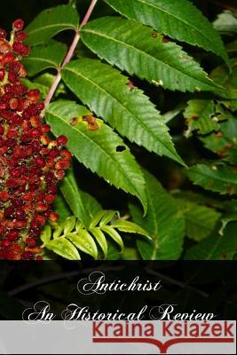 Antichrist An Historical Review Ratton, James 9781461101468 Createspace - książka