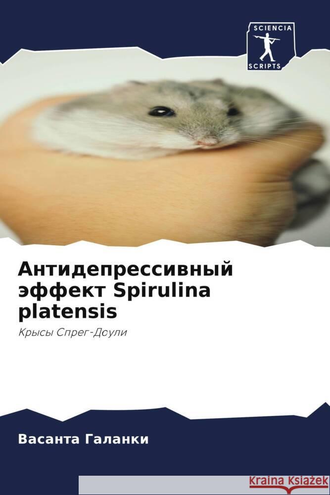 Antidepressiwnyj äffekt Spirulina platensis Galanki, Vasanta 9786205565124 Sciencia Scripts - książka