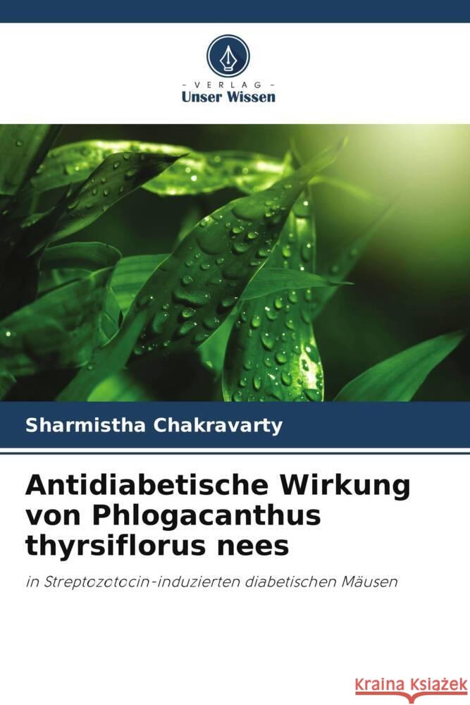 Antidiabetische Wirkung von Phlogacanthus thyrsiflorus nees Sharmistha Chakravarty 9786207164721 Verlag Unser Wissen - książka