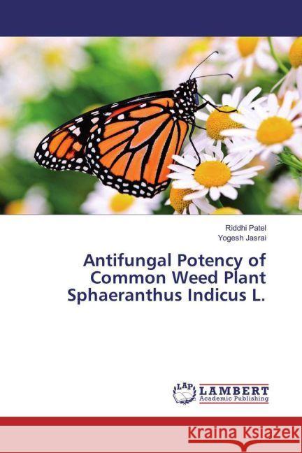 Antifungal Potency of Common Weed Plant Sphaeranthus Indicus L. Patel, Riddhi; Jasrai, Yogesh 9783659896972 LAP Lambert Academic Publishing - książka