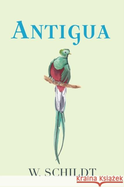 Antigua W. Schildt 9781958877111 Booklocker.com - książka