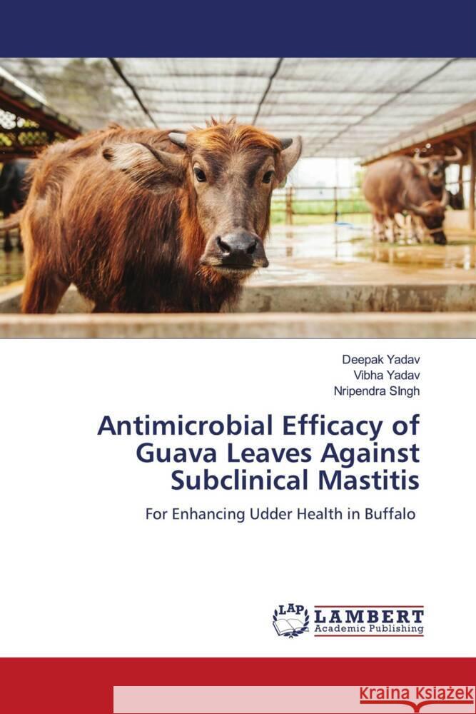 Antimicrobial Efficacy of Guava Leaves Against Subclinical Mastitis Yadav, Deepak, Yadav, Vibha, Singh, Nripendra 9786208119539 LAP Lambert Academic Publishing - książka