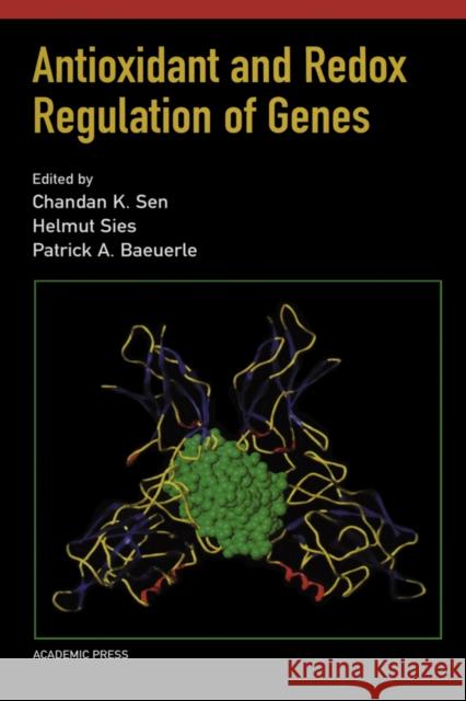 Antioxidant and Redox Regulation of Genes Sen, Chandan K., Packer, Lester, Baeuerle, Patrick A. 9780126366709 Academic Press - książka