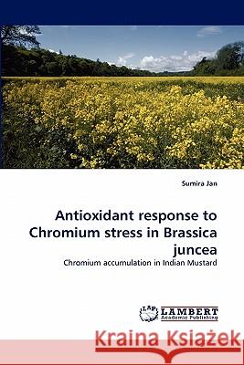 Antioxidant response to Chromium stress in Brassica juncea Jan, Sumira 9783843359962 LAP Lambert Academic Publishing AG & Co KG - książka