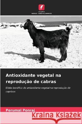 Antioxidante vegetal na reproducao de cabras Perumal Ponraj   9786205977194 Edicoes Nosso Conhecimento - książka