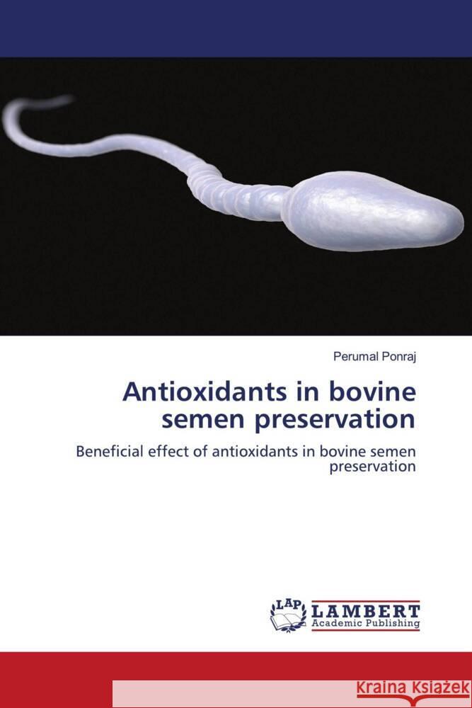 Antioxidants in bovine semen preservation Ponraj, Perumal 9786203929249 LAP Lambert Academic Publishing - książka