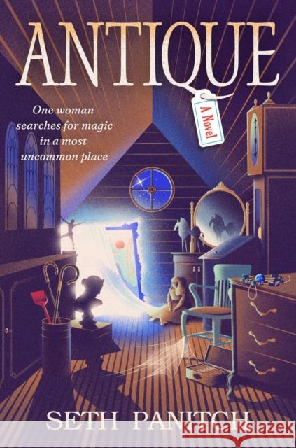 Antique: A Novel Seth Panitch 9781538772942 Grand Central Publishing - książka