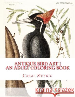 Antique Bird Art I: An Adult Coloring Book Carol Mennig 9781523242993 Createspace Independent Publishing Platform - książka