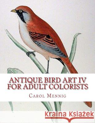 Antique Bird Art IV - For Adult Colorists Carol Mennig 9781539457466 Createspace Independent Publishing Platform - książka