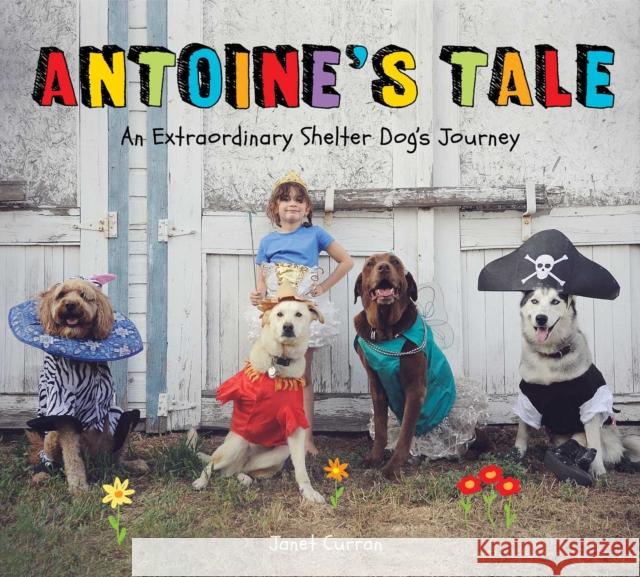 Antoine's Tale: An Extraordinary Shelter Dog's Journey Janet Curran 9781524871604 Andrews McMeel Publishing - książka