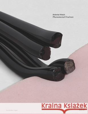 Antonia Hirsch - Phenomenal Fracture Maike Behm 9783969122327 DCV - książka