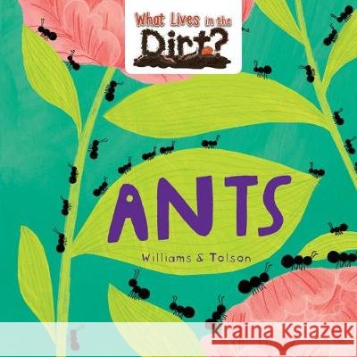 Ants Susie Williams Hannah Tolson 9780778773955 Crabtree Publishing Company - książka