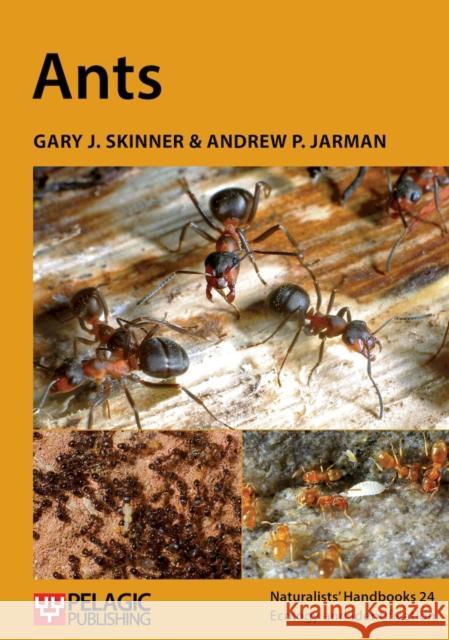 Ants Andrew P. Jarman 9781784273040 Pelagic Publishing - książka