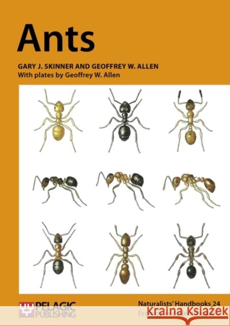 Ants Gary J. Skinner Geoffrey W. Allen Geoffrey W. Allen 9781907807602 Pelagic Publishing - książka