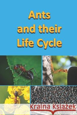 Ants and their Life Cycle Linville, Rich 9798434930208 Independently published - książka