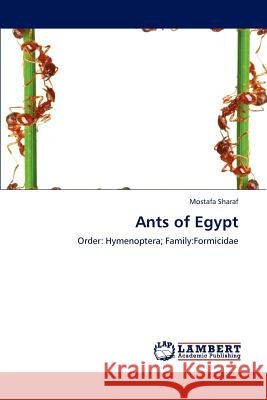 Ants of Egypt Mostafa Sharaf 9783847320197 LAP Lambert Academic Publishing - książka