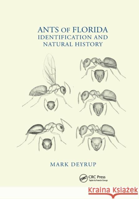 Ants of Florida: Identification and Natural History Mark Deyrup 9780367658366 CRC Press - książka