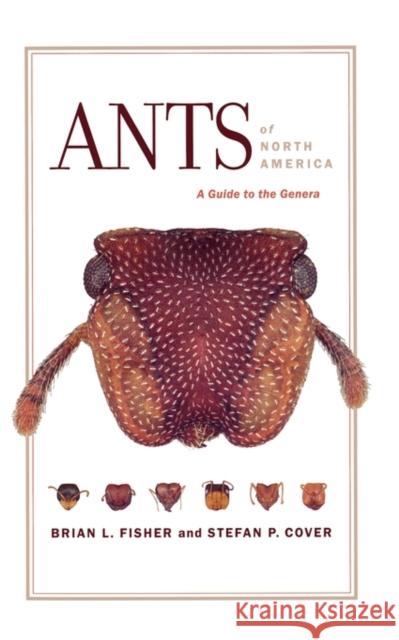 Ants of North America: A Guide to the Genera Fisher, Brian L. 9780520254220 University of California Press - książka