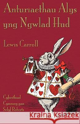 Anturiaethau Alys yng Ngwlad Hud: Alice's Adventures in Wonderland in Welsh Carroll, Lewis 9781904808466 Evertype - książka