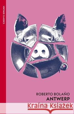 Antwerp Roberto Bolano 9781784879426 Vintage Publishing - książka