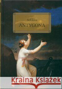 Antygona z oprac. okleina GREG Sofoklés 9788373277489 Greg - książka