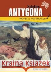 Antygona z opracowaniem w.2020 Sofokles 9788366462915 Ibis/Books - książka