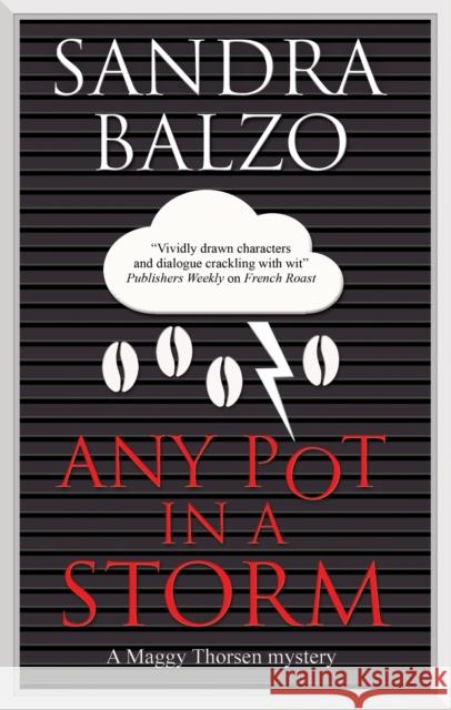 Any Pot in a Storm Sandra Balzo 9781448314492 Canongate Books - książka