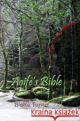 Aoife's Bible Blaine Turner 9780578199092 Blaine Turner - książka