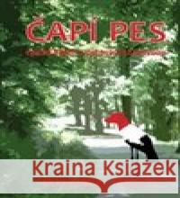 Čapí Pes I. Pfanner 9788027022267 Medek Richard - książka