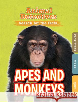 Apes & Monkeys O'Daly, Anne 9781781214466 Brown Bear Books - książka