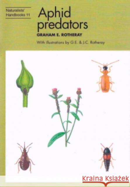 Aphid predators Rotheray, Graham E. 9780855462697 Richmond Publishing Co Ltd - książka