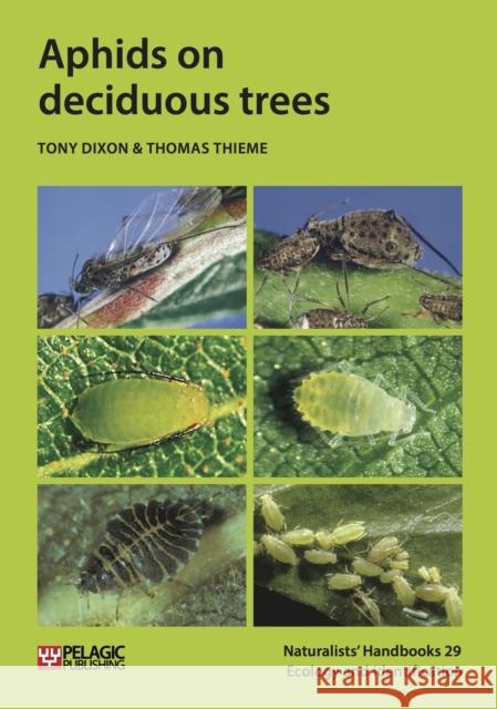 Aphids on deciduous trees Tony Dixon Thomas Thieme 9781784272104 Pelagic Publishing Ltd - książka
