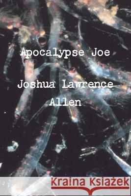 Apocalypse Joe Joshua Lawrence Allen 9781300256144 Lulu.com - książka