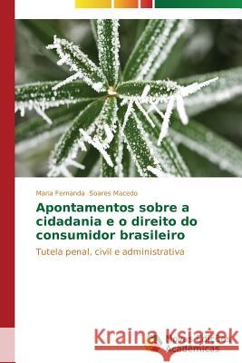 Apontamentos sobre a cidadania e o direito do consumidor brasileiro Soares Macedo Maria Fernanda 9783639750935 Novas Edicoes Academicas - książka