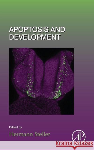Apoptosis and Development: Volume 114 Steller, Hermann 9780124104259 Elsevier Science - książka